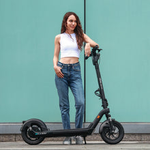 Load image into Gallery viewer, Hiboy X300 Big-Wheel Electric Scooter