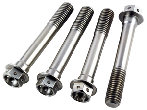 Titanium Front Disc Bolt Kit For Aprilia RSV1000 2004-2008 | Hex Flange | Racefasteners Prolite