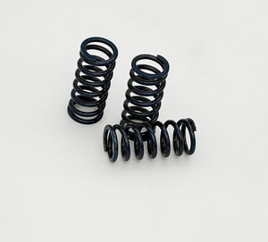 Graves Motorsports Kawasaki ZX-4RR WORKS Clutch Spring Kit