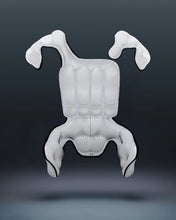 Load image into Gallery viewer, Alpinestars Tech-Air 10 V2 Race Air Bag System
