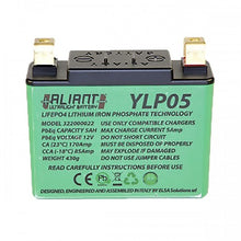 Load image into Gallery viewer, Aliant YLP05 5.0AH ALICHEM Lifepo4 Battery