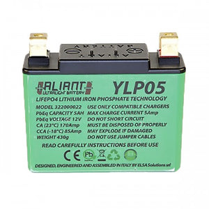 Aliant YLP05 5.0AH ALICHEM Lifepo4 Battery