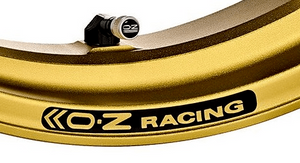 OZ Racing GASS RS-A Aluminum 6-Spoke Rear Wheel - MATTE GOLD - 2020+ BMW S1000RR