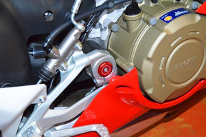 Ducabike TTF06 Ducati Panigale V4 / Streetfighter V4 Frame Cap