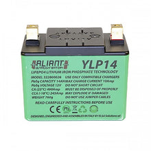 Load image into Gallery viewer, Aliant YLP14 14.0AH ALICHEM Lifepo4 Battery